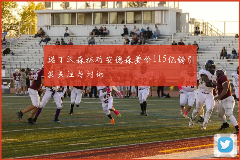 诺丁汉森林对安德森要价115亿镑引发关注与讨论