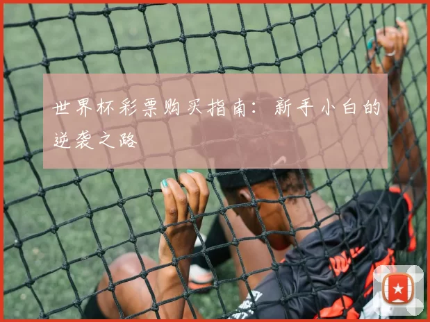 世界杯彩票购买指南:新手小白的逆袭之路