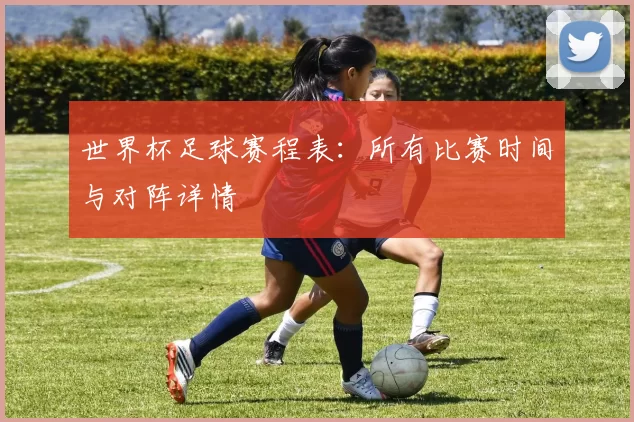 世界杯足球赛程表:所有比赛时间与对阵详情