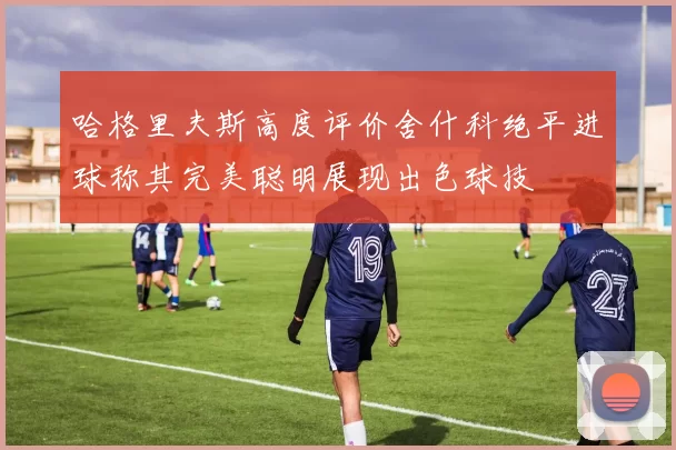 哈格里夫斯高度评价舍什科绝平进球称其完美聪明展现出色球技