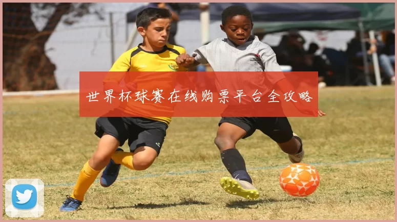 世界杯球赛在线购票平台全攻略