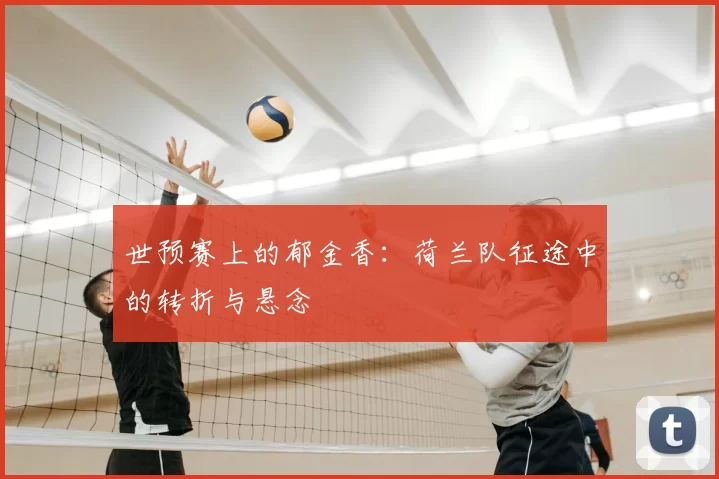 世预赛上的郁金香：荷兰队征途中的转折与悬念