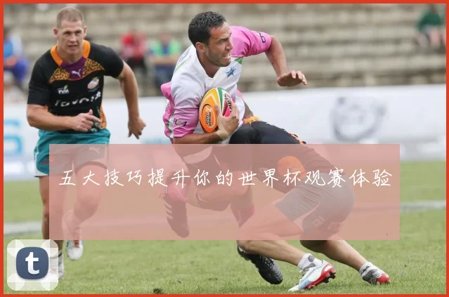 五大技巧提升你的世界杯观赛体验