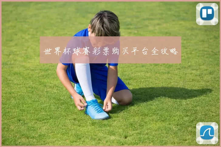 世界杯球赛彩票购买平台全攻略