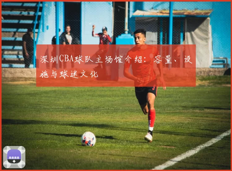 深圳CBA球队主场馆介绍：容量、设施与球迷文化