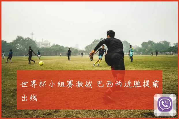 世界杯小组赛激战 巴西两连胜提前出线
