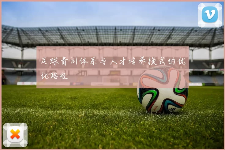 足球青训体系与人才培养模式的优化路径