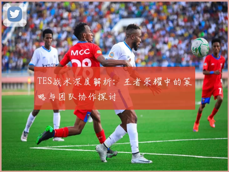 TES战术深度解析：王者荣耀中的策略与团队协作探讨