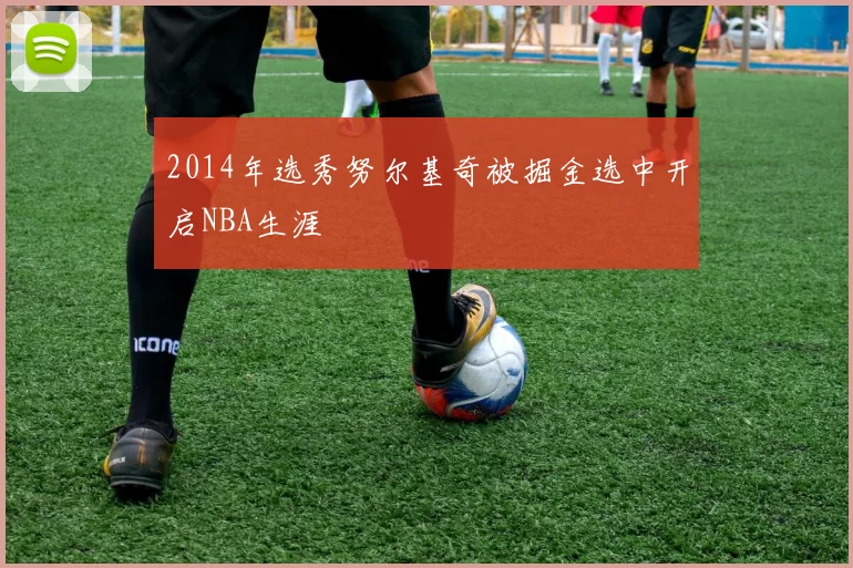 2014年选秀努尔基奇被掘金选中开启NBA生涯