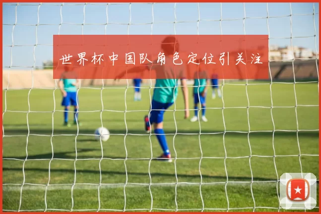 世界杯中国队角色定位引关注