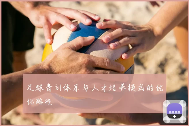足球青训体系与人才培养模式的优化路径