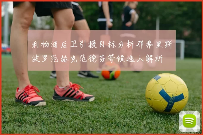 利物浦后卫引援目标分析邓弗里斯波罗范赫克范德芬等候选人解析
